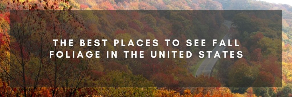 The Best Places to See Fall Foliage in the United States